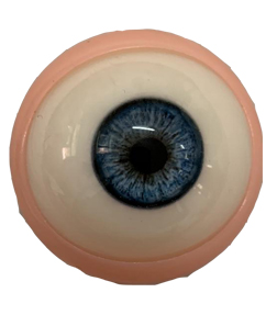 bewegliches Auge