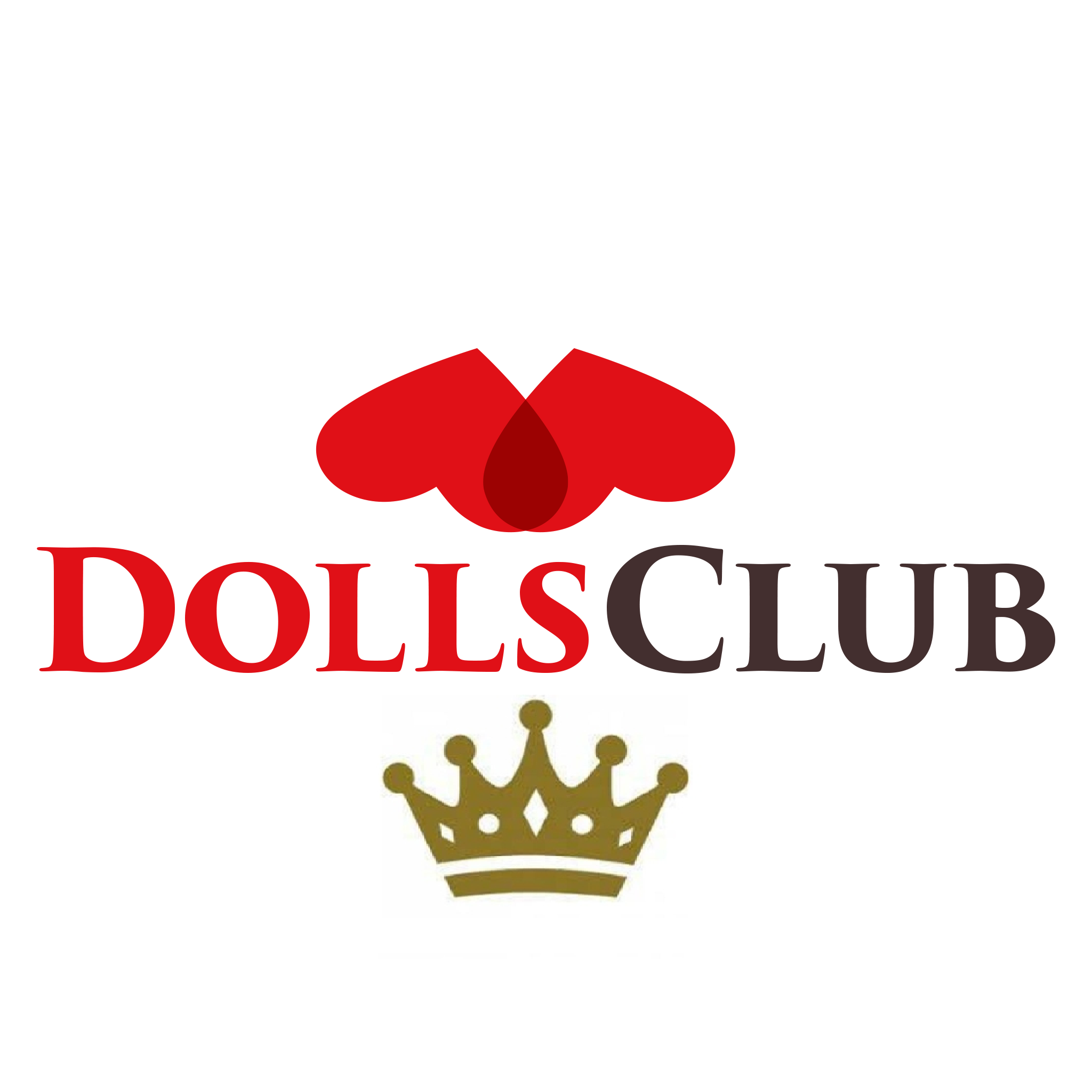 DollsClub Schoonmaakset Deluxe