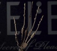 Hand Joint